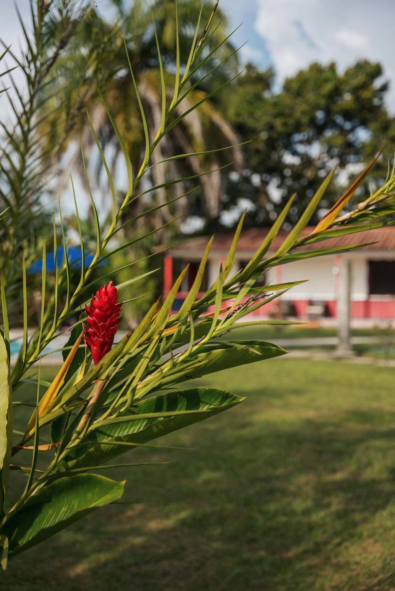 Finca Hotel Puerto Espejo Εξωτερικό φωτογραφία